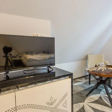 Apartment Tatry De Luxe Fizjomedical & Murzasichle
